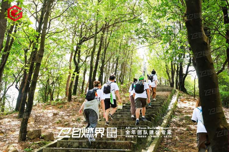 2026年香港户外拓展训练营怎么选？靠谱商家深度测评与排名指南